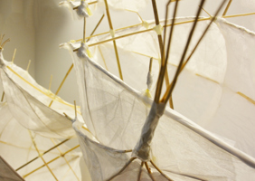 Detail van de schepen