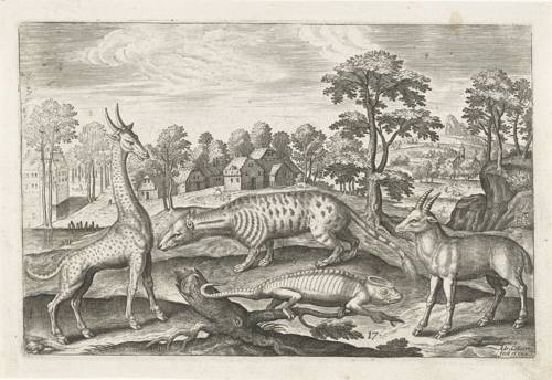 Kunstwerk uit de 17e eeuw met exotische dieren